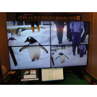 【Interop 2015 Vol.59】神奈川工科大、8K/4K非圧縮画像の多地点マルチレート配信デモ 画像