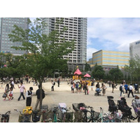 「江ノ島にラプラスが居る」……「ポケモンGO」に関するネットの噂 画像