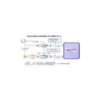 ネットスプリングの認証アプライアンス「AXIOLE」、ミラポイント・メールアプライアンスに正式対応 画像