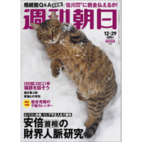 95年の歴史で初めて表紙が猫に！明日19日発売の「週刊朝日」は丸ごと一冊が猫だらけ 画像