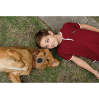 愛犬と飼い主の絆に涙！映画『僕のワンダフル・ライフ』ブルーレイ&DVDが3月発売 画像
