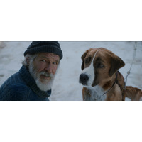 名犬バックの人間らしい表情にも注目！ハリソン・フォード主演作『野性の呼び声』Blu-ray&DVDに 画像