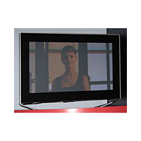 【Display 2005】SED、液晶やプラズマとの比較デモでSEDテレビをアピール　入場待ちの大行列 画像