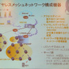 ワイヤレスメッシュネットワークの機器構成の画像