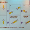 メッシュアクセスポイントの隣接ネットワーク自動検出の仕組みの画像