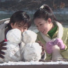 冬のソナタの画像