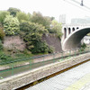 これが撮影した風景ねの画像