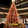 広場にはクリスマスツリー風イルミネの画像