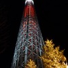 クリスマス限定色の「キャンドルツリー」ライティングの画像