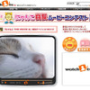 にゃんこ自慢ムービーコンテスト2の画像
