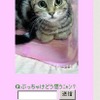 ペトちぇけの画面レイアウト（サンプル）の画像