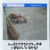 ライブカメラの映像の様子の画像