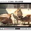 YouTubeでのPR動画の画像