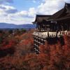旅チャンネル〜京都紀行編〜の画像