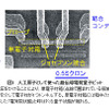 人工原子として使った超伝導電荷量子ビットの画像