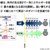X線治療と違い、患部の深さによってエネルギーを調整できるの画像