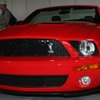 入ると正面にドーンと置いてあるのがコブラ。車に疎い私でもGT500ぐらいは知ってますの画像