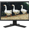 EIZO ColorEdge CG222Wの画像