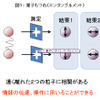 量子もつれ（エンタングルメント）の画像