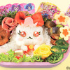 キャラ弁「Yes！プリキュア5GoGo！」の画像
