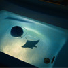Deep Blue投影イメージの画像