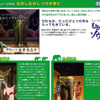 劇団四季ミュージカル「むかしむかしゾウがきた」特集ページの画像