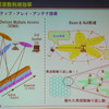 　2GHz帯での展開を狙う「iBurst」。最大の特徴は、周波数効率が高く帯域幅が5MHzでもサービスが提供できることだ。国内で開発を進める京セラの通信機器関連事業本部 システム第1技術部 副部長 兼 ブロードバンド技術責任者の小山克志氏がアピールする。の画像