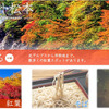秋の信州・松本特集の画像