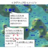 タグマップのイメージの画像