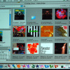 Adobe Bridgeの画像