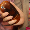 TOUCH WOODの画像