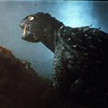 「大怪獣空中戦ガメラ対ギャオス」の画像