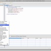 「Adobe Flash Builder for Force.com」コードビュー画面の画像