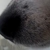HD 720pの画像