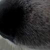 HD 1080pの画像