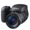1,030万画素のサイバーショット DSC-R1の画像