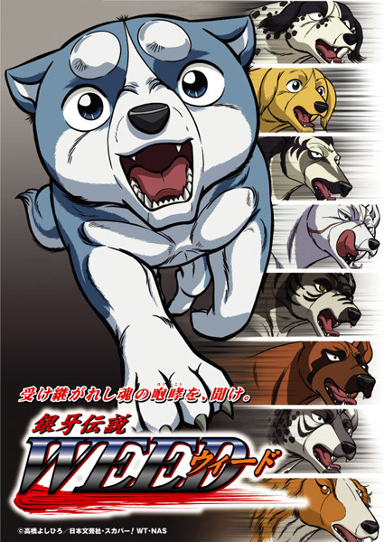 So-net、Portable TVでアニメ「銀牙伝説ウィード」を配信