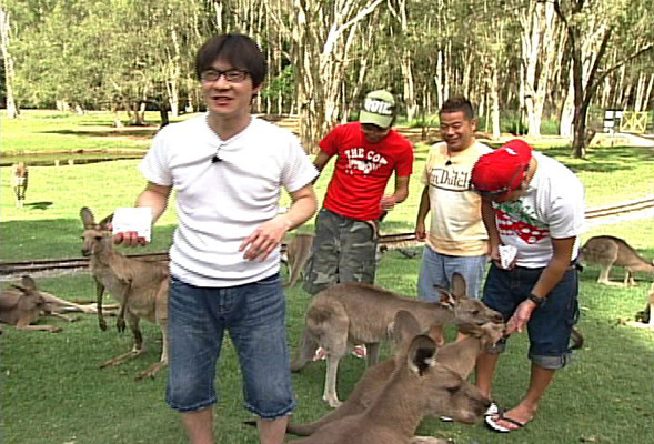 念願の海外進出!?「内さま」爆笑“オーストラリアすごろくツアー”