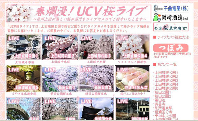 上田ケーブルビジョン、Google Mapsと組み合わせた桜ライブ