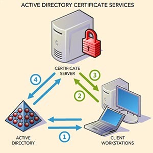 マイクロソフト、Windows Server“Longhorn”日本語版のβプログラムを開始