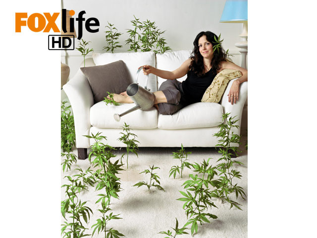 息子を育てるために“売人”に!? Weeds 〜ママの秘密