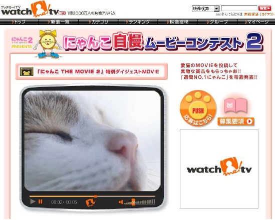 ウチのニャンコが一番！　愛猫の映像投稿コンテスト
