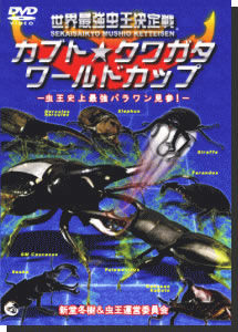 昆虫たちが戦う「世界最強虫王決定戦」シリーズ一挙公開！