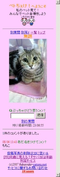 癒し系もsatoru.net——ペットのイケテル度判定！「ペトちぇけ」を開始