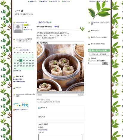So-netがブログにスライドショー〜プレゼントキャンペーンも実施