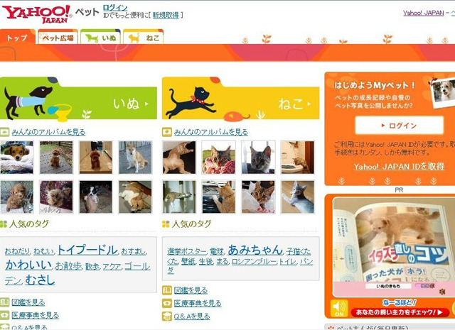目指せ上位ランクイン! かわいいペットを全国にお披露目しよう