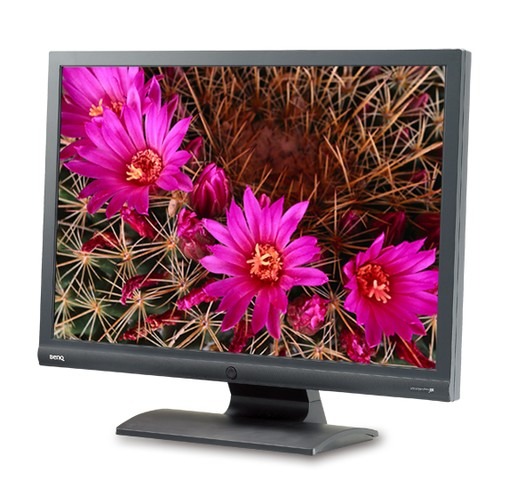 応答速度5ms/視野角160度/1,677万色の19型ワイド液晶ディスプレイ