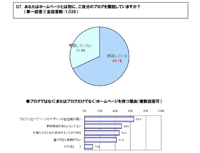 ホームページ所有者の7割がブログも併用、アフィリエイトや動画共有が人気〜ソースネクスト調べ