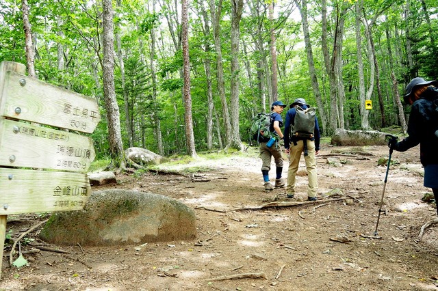 市ではTREK TRACKで得られたデータをもとに、注意を喚起する看板や転落防止の柵を設置するといった予防策をとっていく