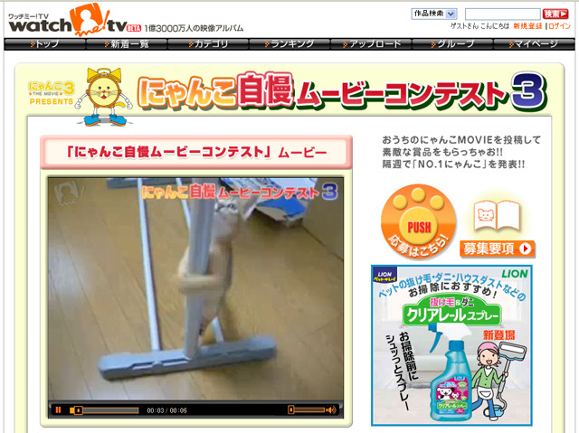 ニャンコ好き必見！　あの超人気企画が帰って来た！